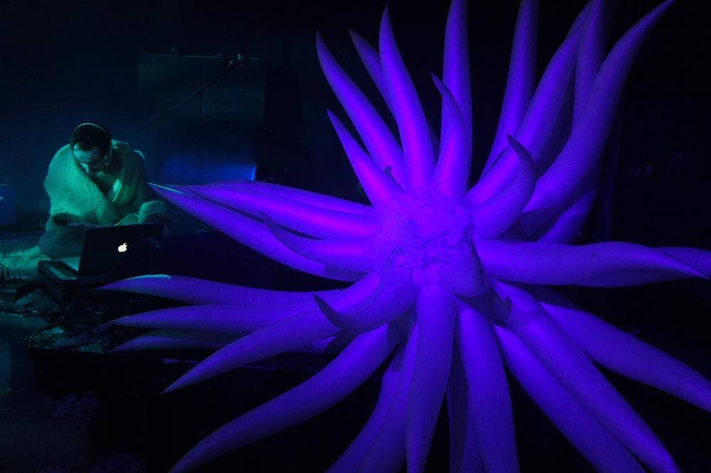 Massarium purple sea anemone art installation